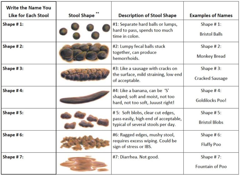 Let's Talk Poo! by Jennifer Calvert - Anointing Nations